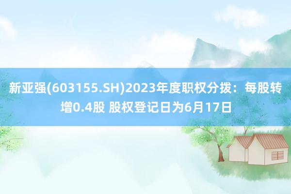 新亚强(603155.SH)2023年度职权分拨：每股转增0.4股 股权登记日为6月17日