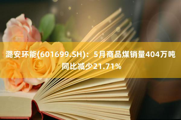 潞安环能(601699.SH)：5月商品煤销量404万吨 同比减少21.71%