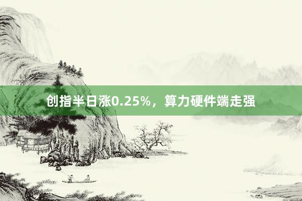 创指半日涨0.25%，算力硬件端走强