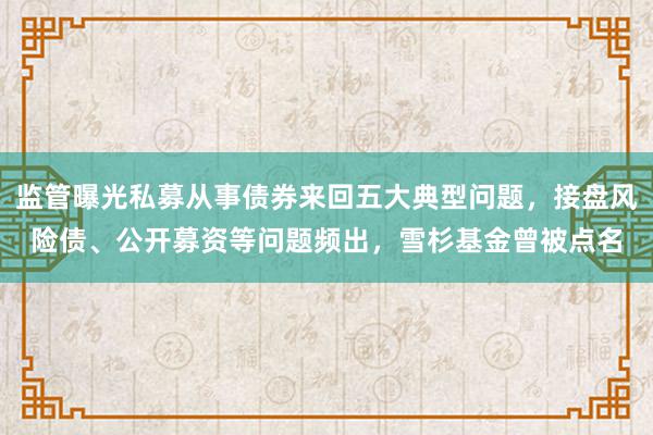 监管曝光私募从事债券来回五大典型问题，接盘风险债、公开募资等问题频出，雪杉基金曾被点名