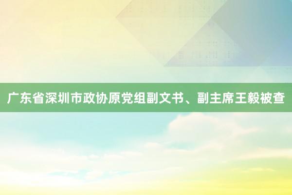 广东省深圳市政协原党组副文书、副主席王毅被查