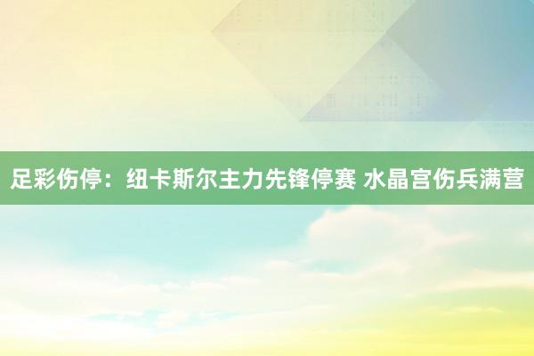 足彩伤停：纽卡斯尔主力先锋停赛 水晶宫伤兵满营