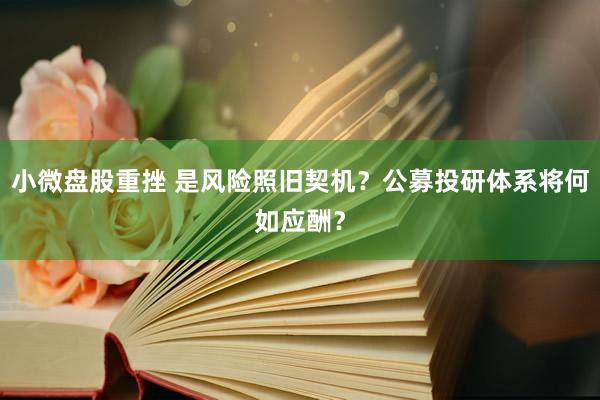 小微盘股重挫 是风险照旧契机？公募投研体系将何如应酬？