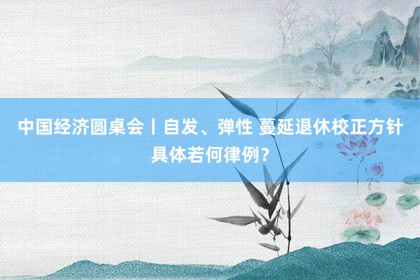 中国经济圆桌会丨自发、弹性 蔓延退休校正方针具体若何律例？