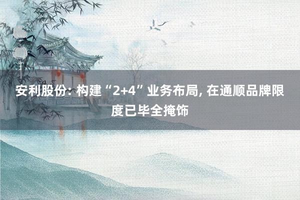 安利股份: 构建“2+4”业务布局, 在通顺品牌限度已毕全掩饰