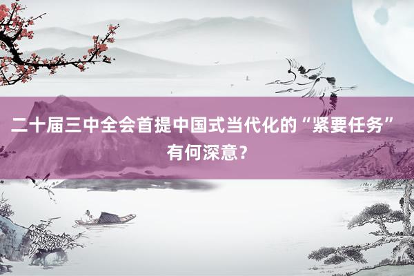 二十届三中全会首提中国式当代化的“紧要任务” 有何深意？