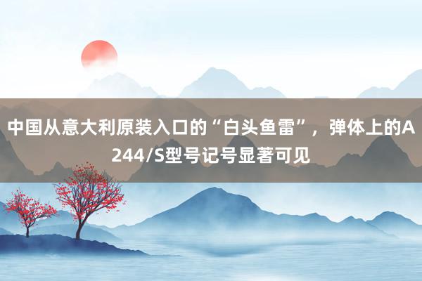 中国从意大利原装入口的“白头鱼雷”，弹体上的A244/S型号记号显著可见